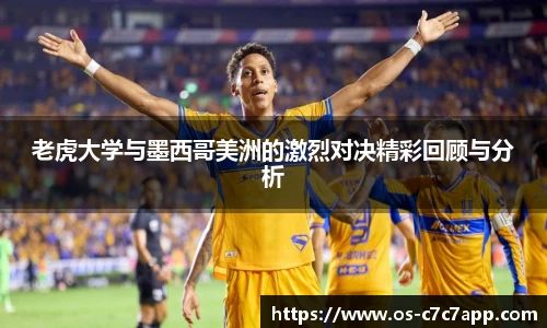 c7娱乐官网